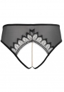 Bracli KYOTO BRIEF 3