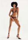 Bracli BRIEF 12